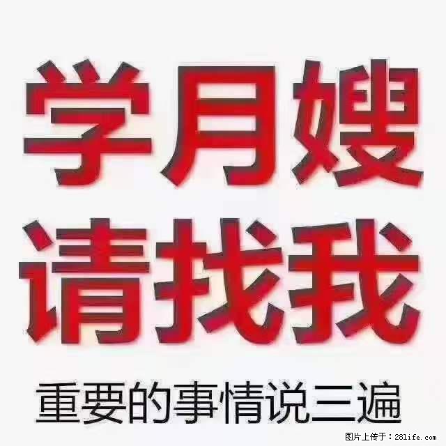 为什么要学习月嫂,育婴师? - 其他广告 - 广告专区 - 张掖分类信息 - 张掖28生活网 zhangye.28life.com