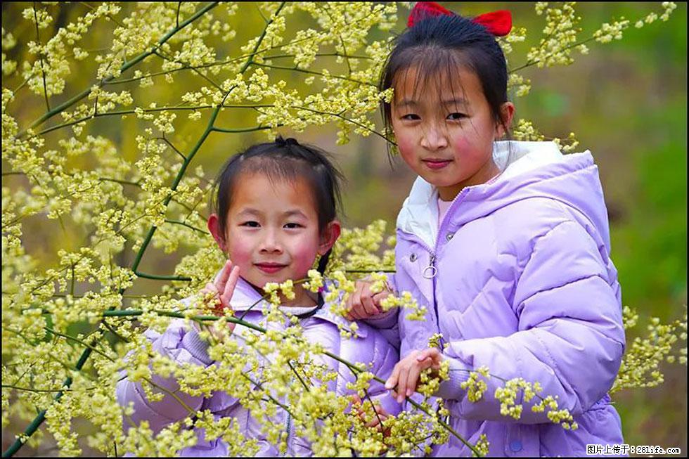 【春天，广西桂林灌阳县向您发出邀请！】米珠山前有片山苍子花在飘香 - 游山玩水 - 张掖生活社区 - 张掖28生活网 zhangye.28life.com