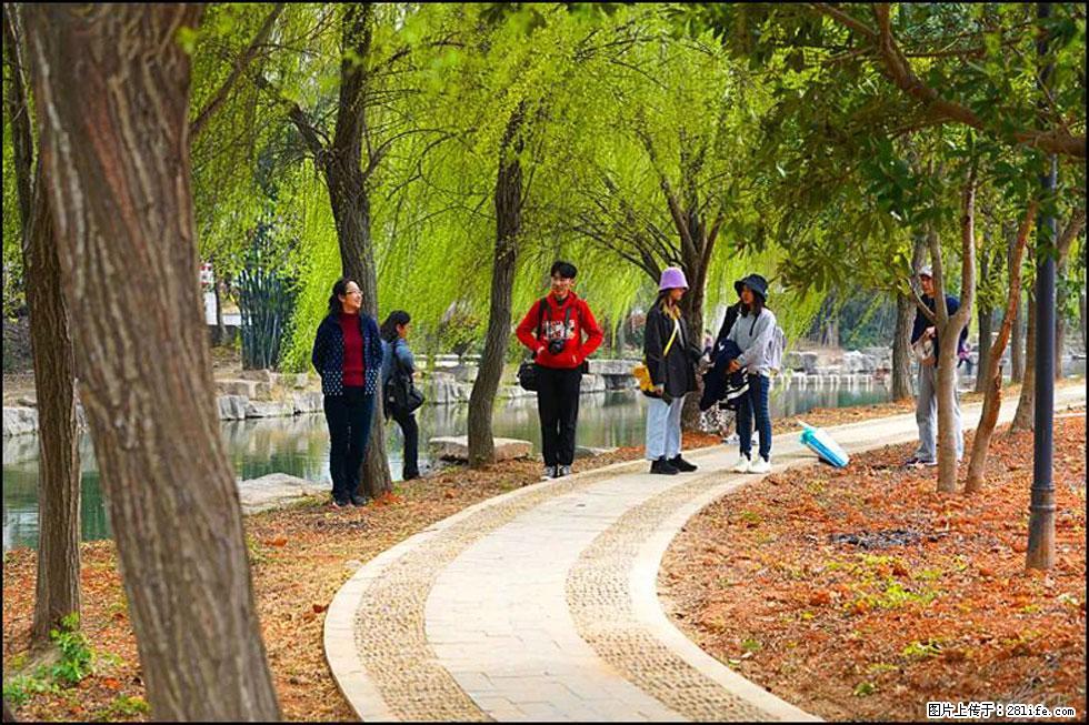 【春天,广西桂林灌阳县向您发出邀请!】江口老街又逢春 - 游山玩水 - 张掖生活社区 - 张掖28生活网 zhangye.28life.com