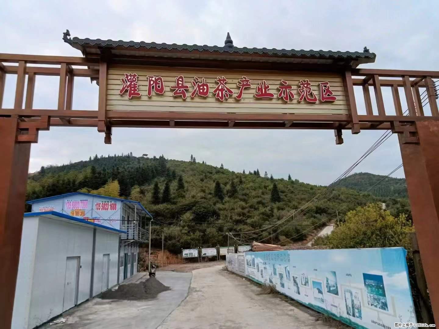 【灌阳县油茶产业示范区】一个有着充实的精神生活的人,对待身外之物自会有一种淡泊的态度 - 美食天地 - 张掖生活社区 - 张掖28生活网 zhangye.28life.com