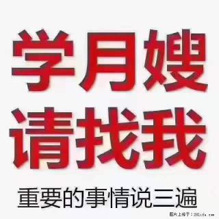 为什么要学习月嫂,育婴师? - 张掖28生活网 zhangye.28life.com