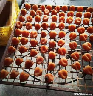 广西桂林平乐桥亭【柿饼之乡】2025年纯手工制作、无任何添加剂的第一批柿饼准备上市了，欢迎联系订购！ - 张掖28生活网 zhangye.28life.com