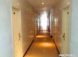 东门牌坊楼精装修公寓房550元出租 - 张掖28生活网 zhangye.28life.com
