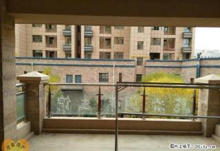 滨河新区中央公园126,超值,随时看房 - 张掖28生活网 zhangye.28life.com