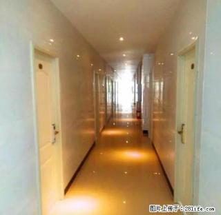 东门牌坊楼有精装单人公寓出租,便宜实惠,拎包入住。 - 张掖28生活网 zhangye.28life.com