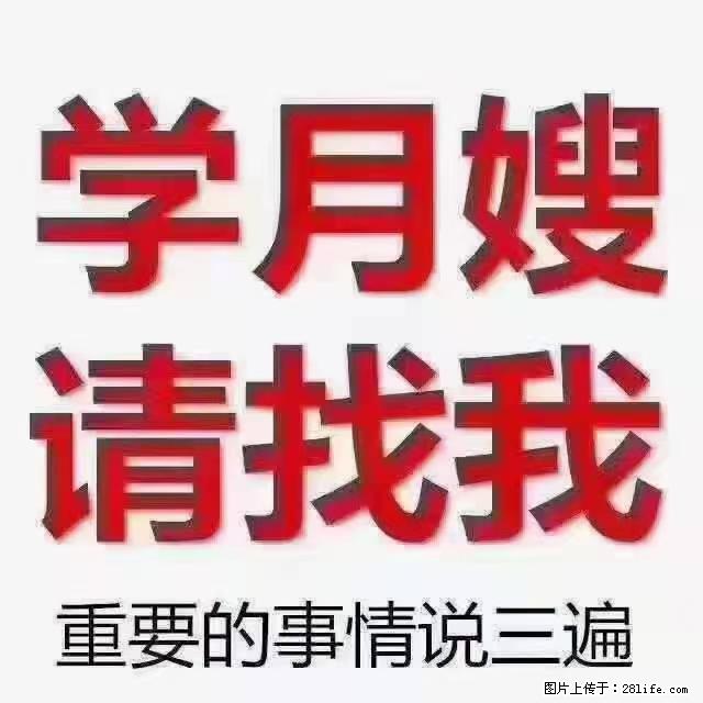 【招聘】月嫂，上海徐汇区 - 职场交流 - 张掖生活社区 - 张掖28生活网 zhangye.28life.com