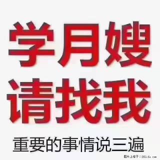 【招聘】月嫂，上海徐汇区 - 张掖28生活网 zhangye.28life.com
