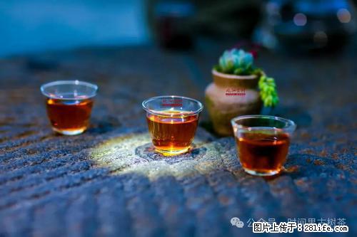 时间果百年古树2025年春红茶 - 购物交流 - 张掖生活社区 - 张掖28生活网 zhangye.28life.com