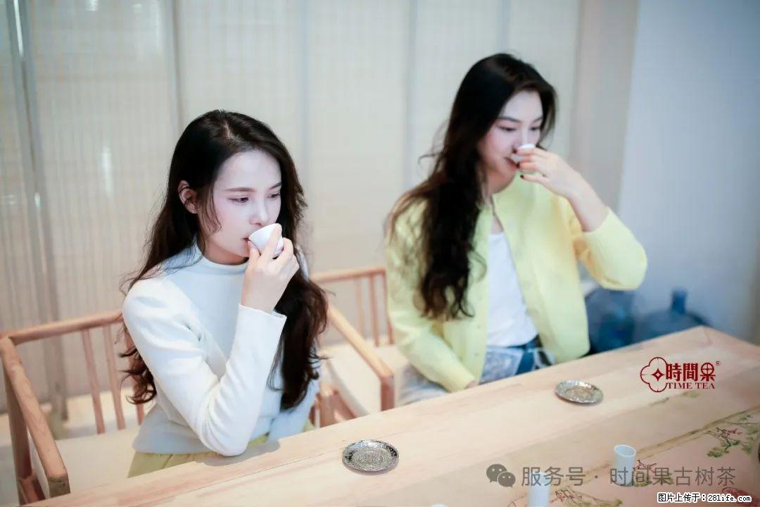 时间果百年古树龙珠普洱生茶 - 购物交流 - 张掖生活社区 - 张掖28生活网 zhangye.28life.com