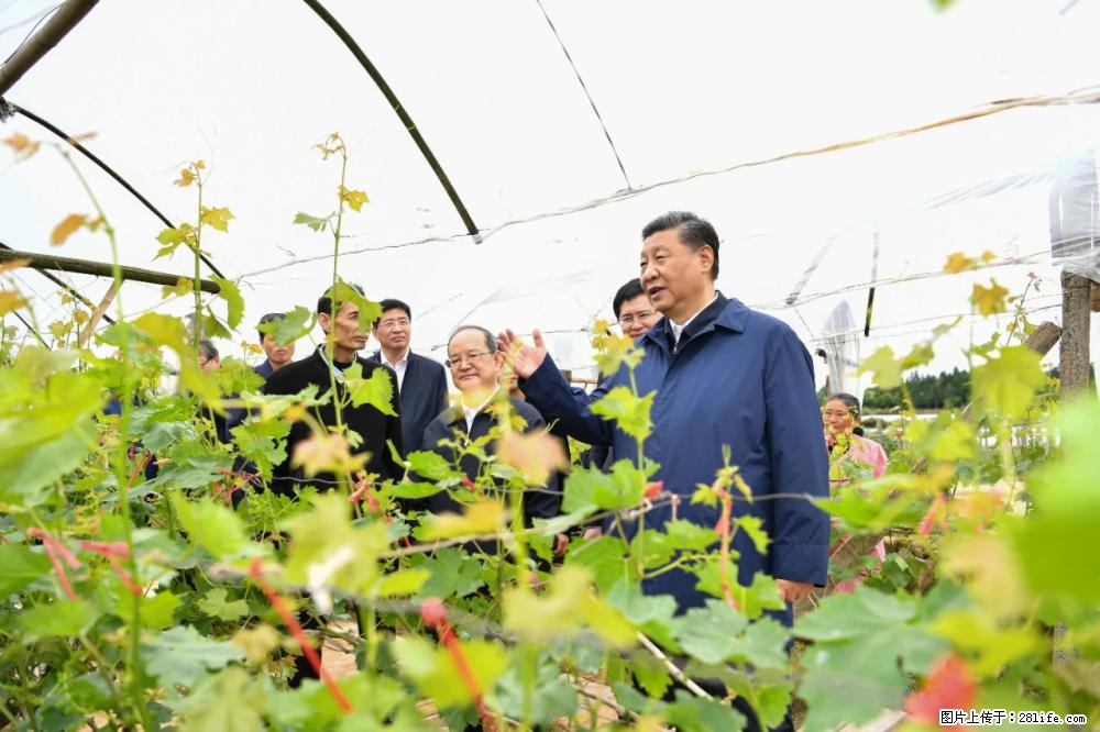 习近平赴广西考察调研 - 张掖生活资讯 - 张掖28生活网 zhangye.28life.com