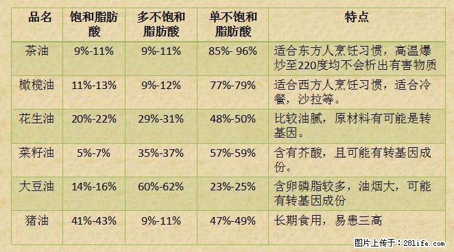 揭秘茶油的5大核心营养成分!被称为人体健康的“守护盾”! - 张掖生活资讯 - 张掖28生活网 zhangye.28life.com