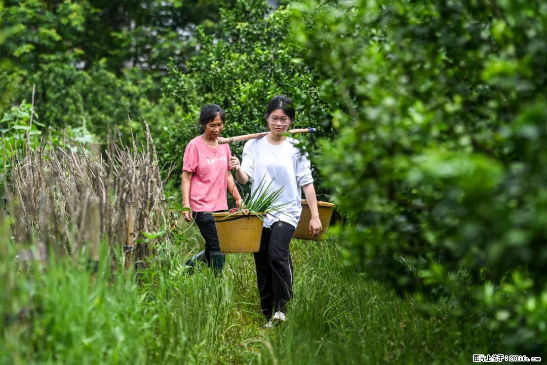 全网追的“扁担女孩”,找了一份暑假工,时薪12元 - 张掖生活资讯 - 张掖28生活网 zhangye.28life.com