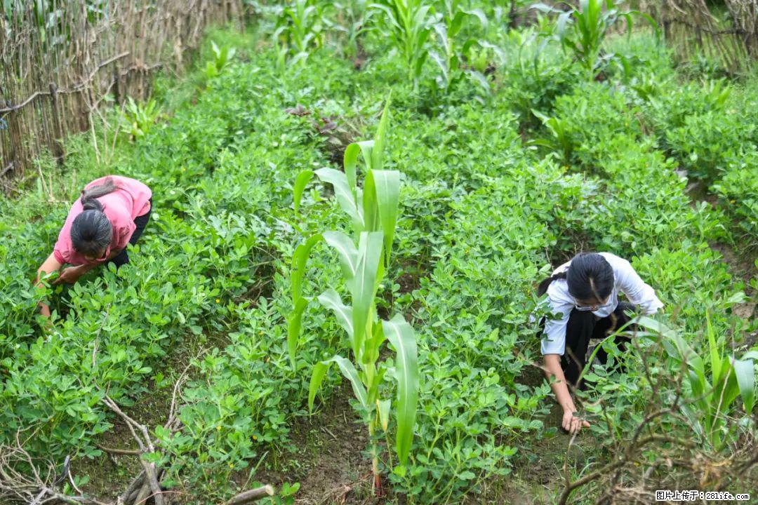 全网追的“扁担女孩”,找了一份暑假工,时薪12元 - 张掖生活资讯 - 张掖28生活网 zhangye.28life.com