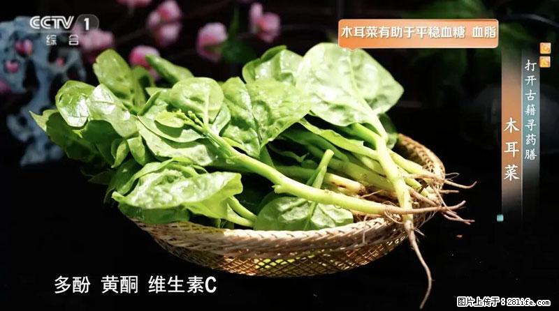 比牛奶补钙还厉害!凉血解毒、稳血糖...这菜冬天必吃,很多人却当草 - 张掖生活资讯 - 张掖28生活网 zhangye.28life.com
