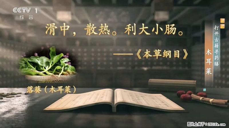 比牛奶补钙还厉害!凉血解毒、稳血糖...这菜冬天必吃,很多人却当草 - 张掖生活资讯 - 张掖28生活网 zhangye.28life.com