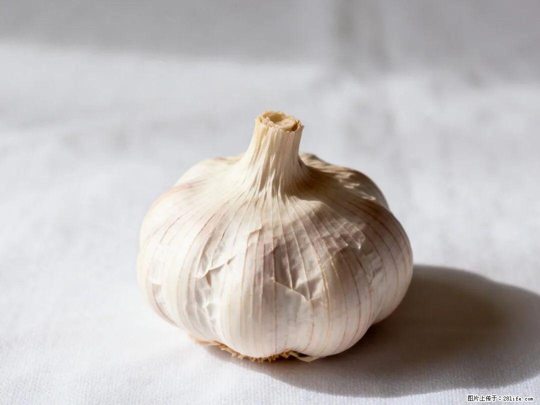 关于大蒜，除了“天然抗生素”，这4个谣言更该警惕! - 张掖生活资讯 - 张掖28生活网 zhangye.28life.com