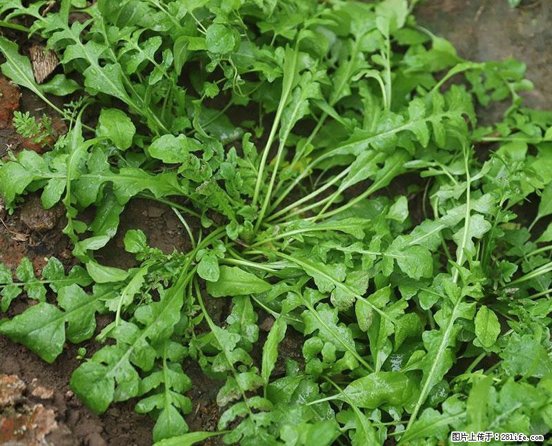 这些蔬菜是“天然钙片”，这6种被医生重点推荐 - 张掖生活资讯 - 张掖28生活网 zhangye.28life.com