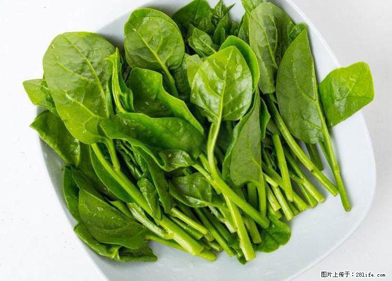 这些蔬菜是“天然钙片”，这6种被医生重点推荐 - 张掖生活资讯 - 张掖28生活网 zhangye.28life.com