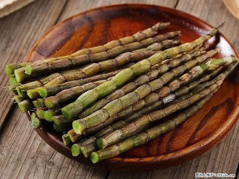 铁皮石斛的作用与功能主治 - 张掖生活资讯 - 张掖28生活网 zhangye.28life.com