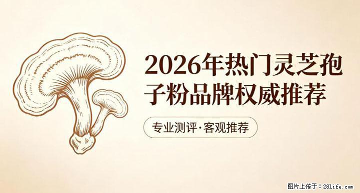 灵芝孢子粉含量越高越有效？2026 年七款热门品牌深度实测，肠胃敏感者避坑指南 - 张掖生活资讯 - 张掖28生活网 zhangye.28life.com
